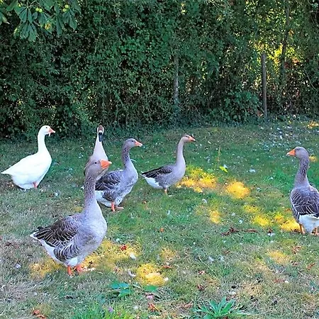 Le Chene Creux Sucé